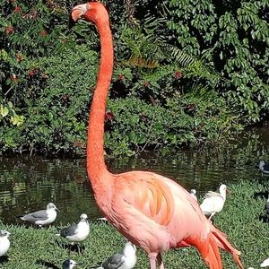 Special Delivery: Family mail